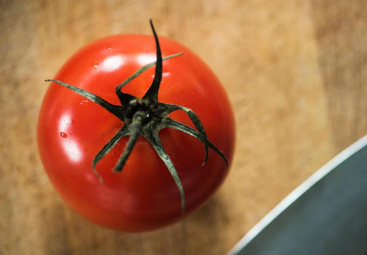 Rischio salmonella a Bari, Asl vieta pomodori freschi in mense nidi, scuole e Rsa Rischio salmonella a Bari, Asl vieta pomodori freschi in mense nidi, scuole e Rsa